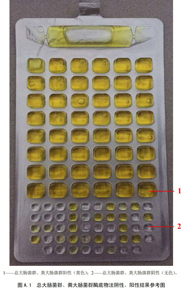 總大腸菌群、糞大腸菌群酶底物法陰性、陽性結(jié)果參考圖